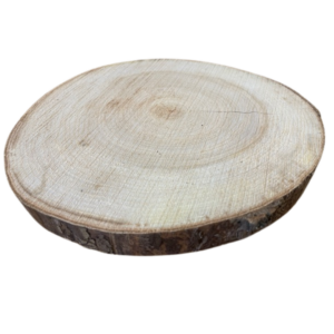 houten boomstam schijf