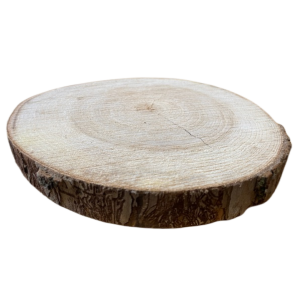 houten boomstam schijf